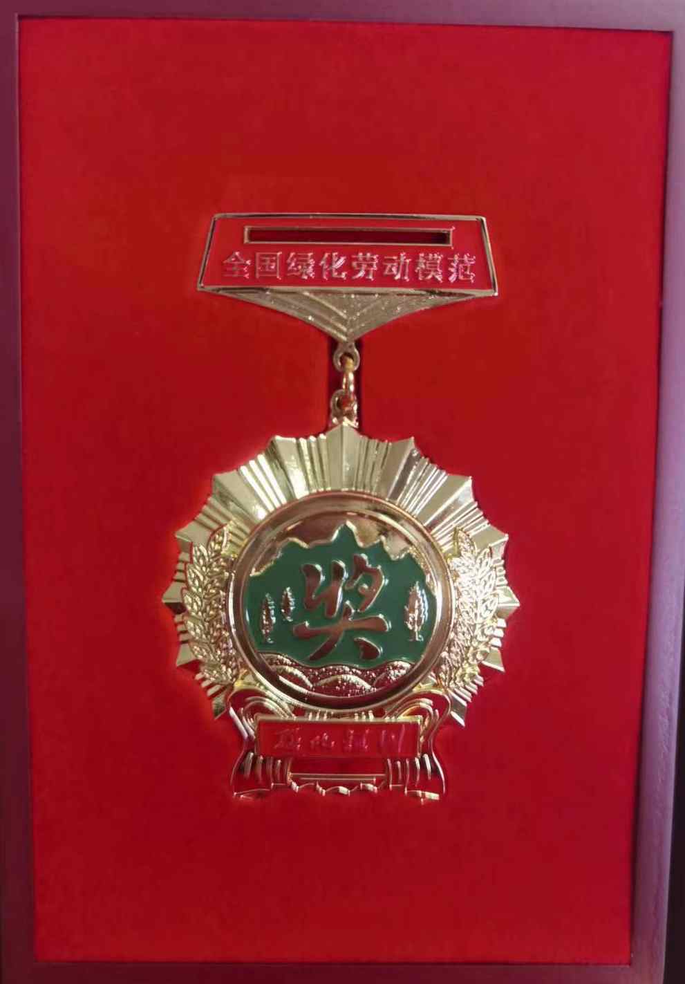 “全國綠化勞動模范”獎?wù)耞副本.jpg
