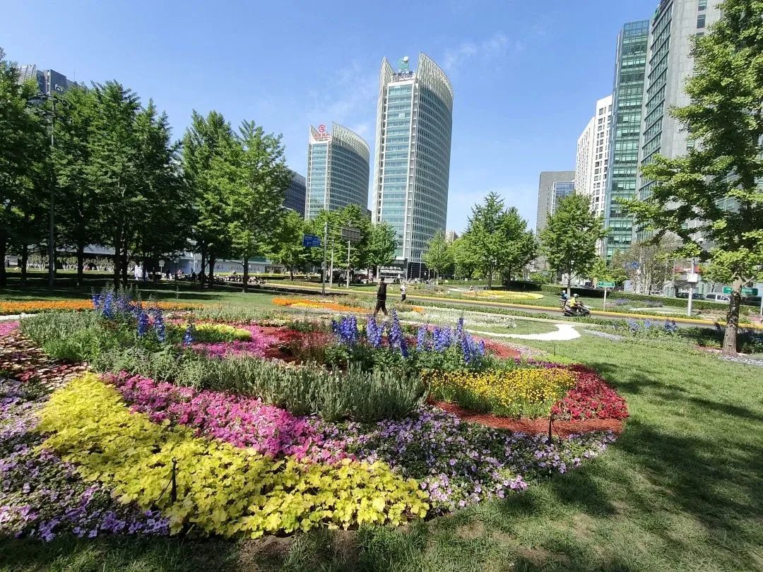 扮靚城市景觀，多彩絢麗迎“五一”