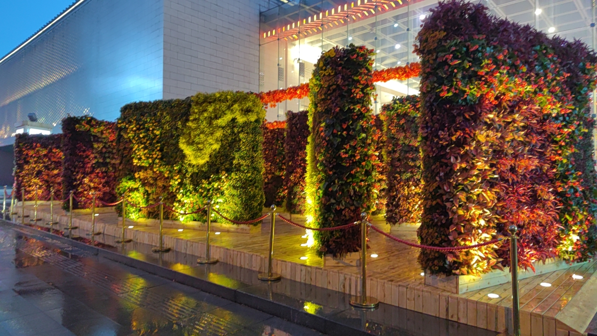 “千紅萬紫”迎“兩節”，180萬盆花卉扮靚“美麗西城”