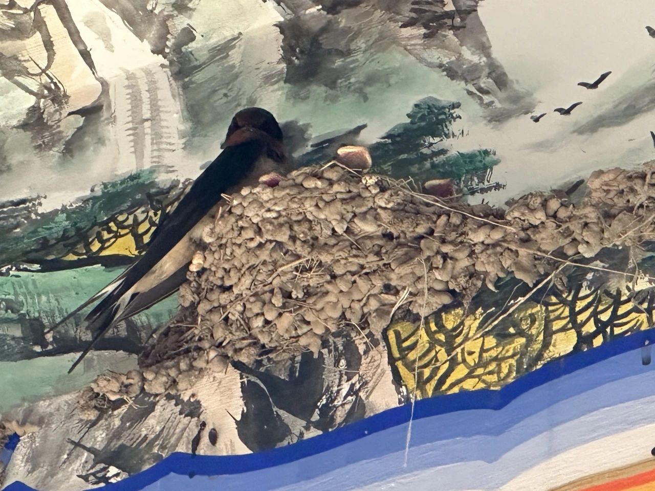 西海美術館迎來新“居民”