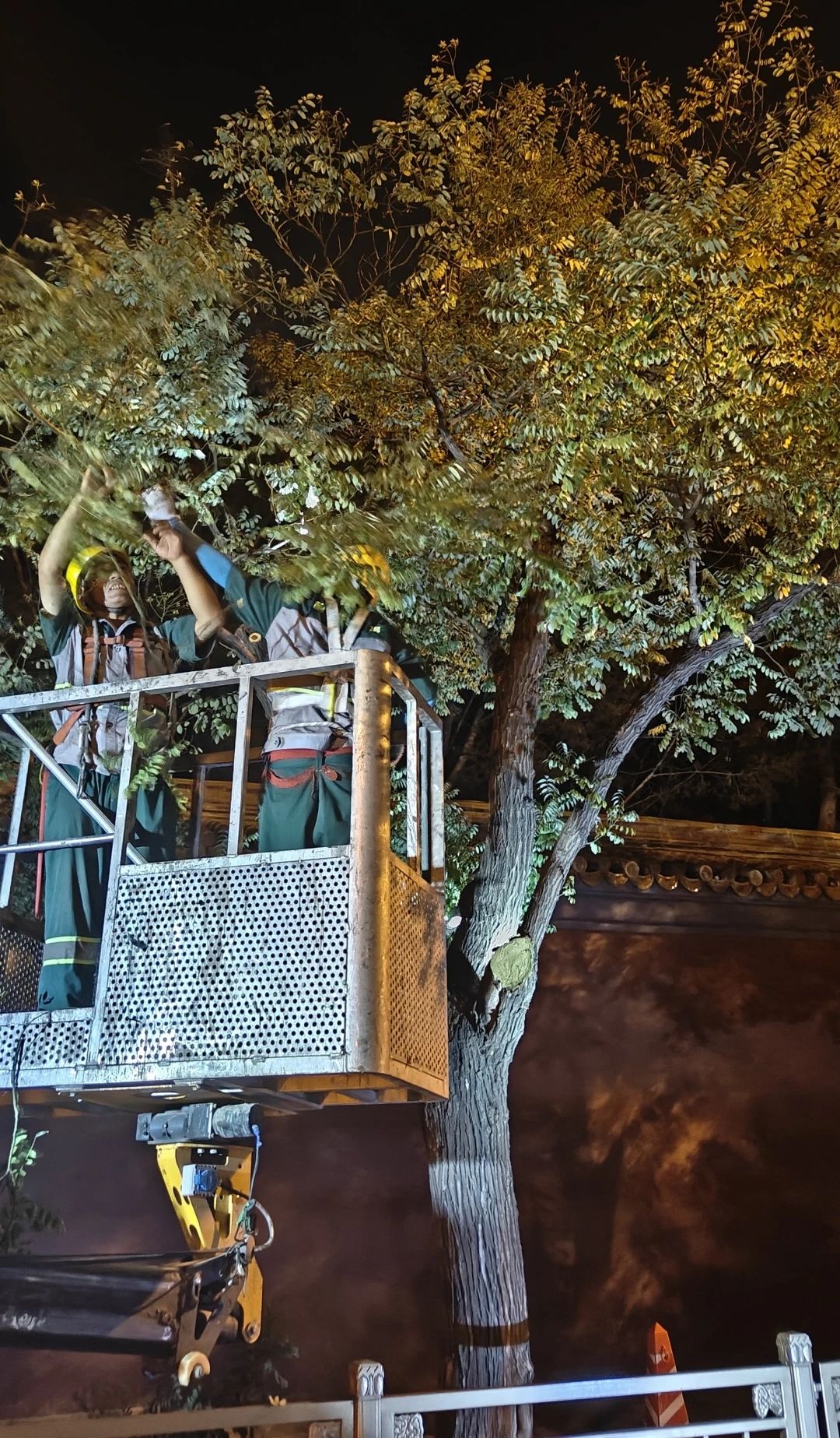 集團下屬園林綠化公司圓滿完成紅墻周邊綠化養護