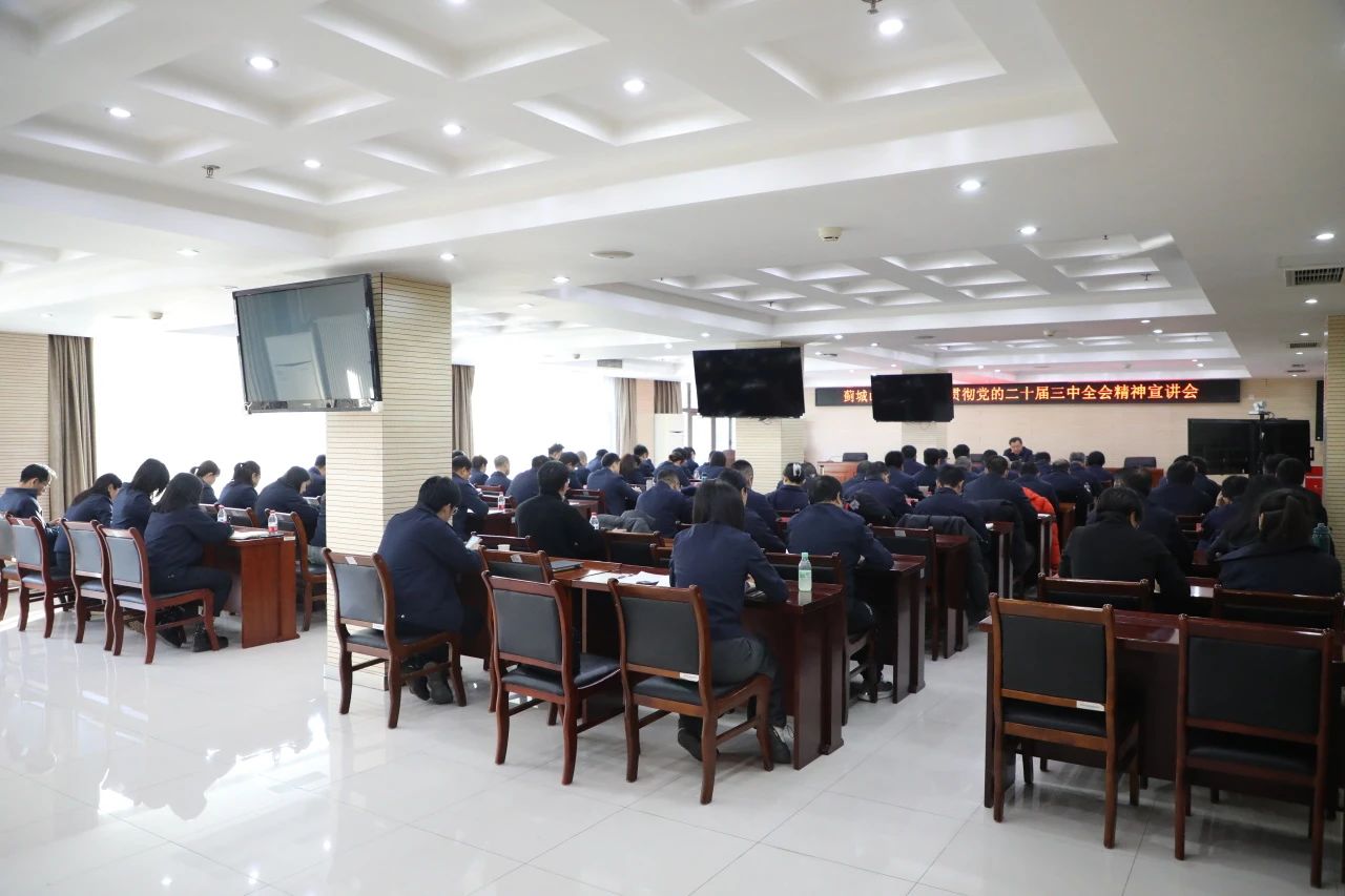集團(tuán)召開黨的二十屆三中全會精神宣講會
